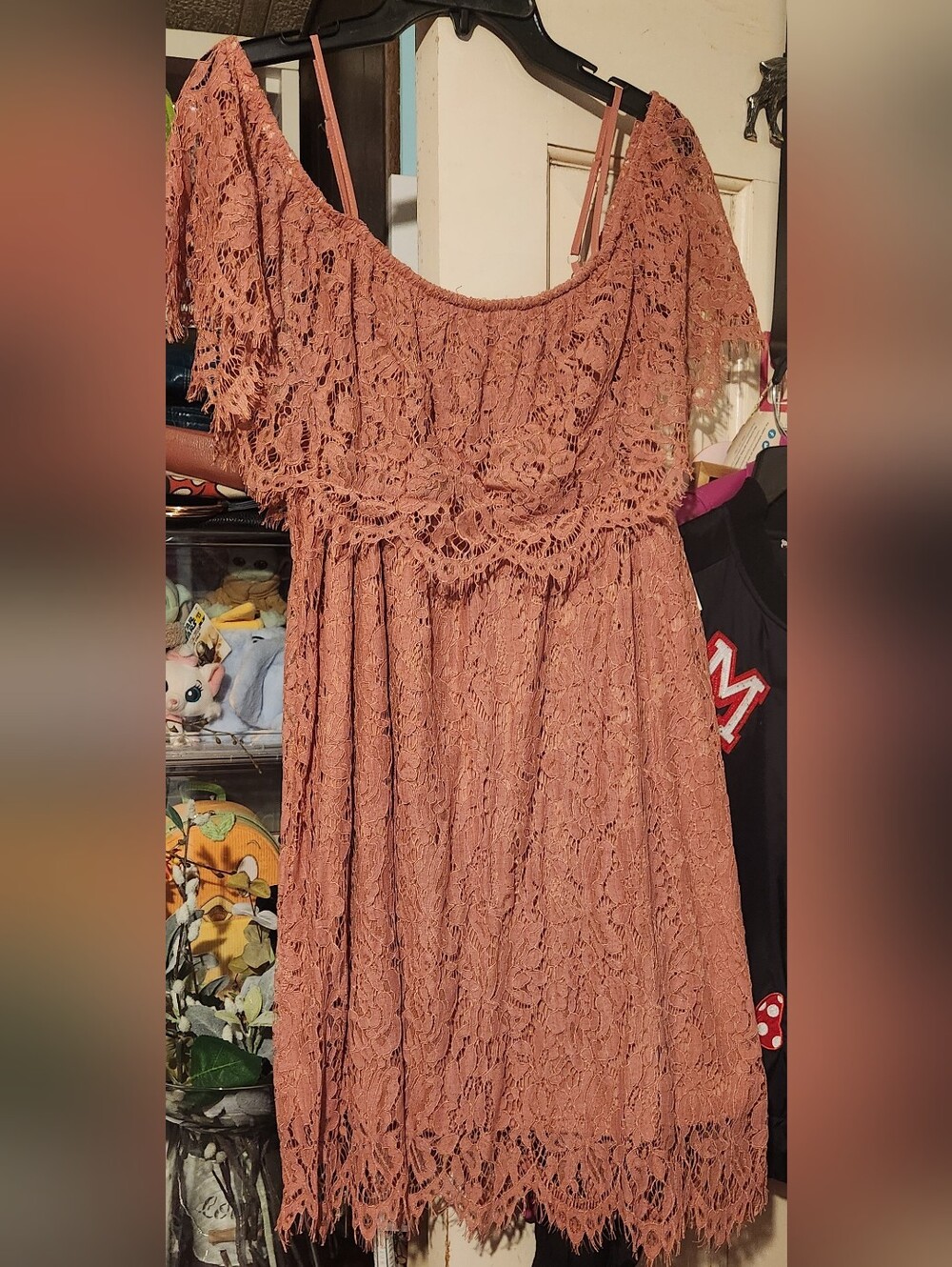 No Boundaries Dusty Rose Lace Trim mini dress size XXL(19) NWT